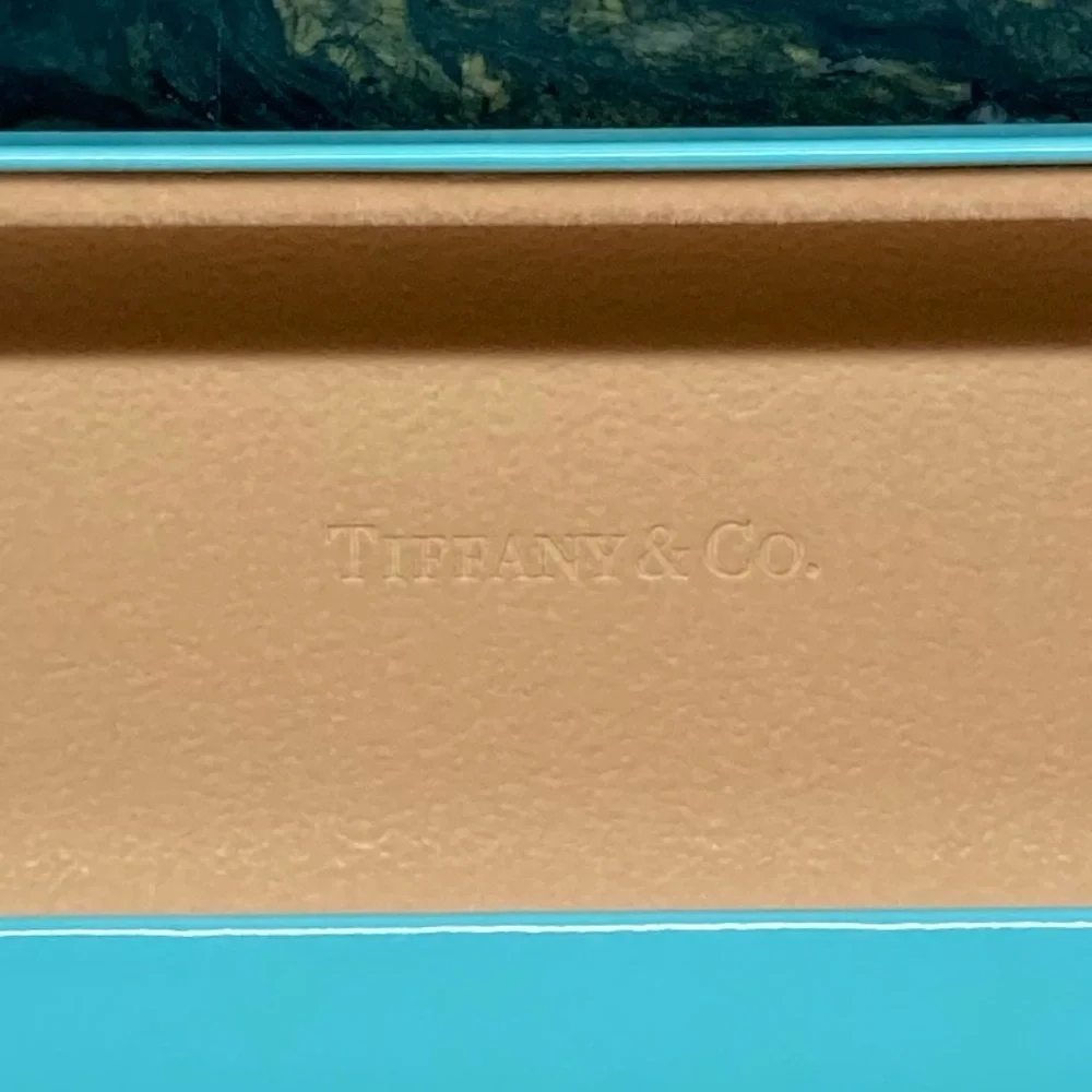 Tiffany & Co. Sunglasses Turquoise Eyewear Case